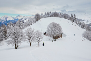 Hiker through winter landscape with snow covered trees, Valle Camonica, Italian Alps, Lombardy, Italy.