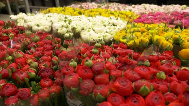Bouquets de roses pas encore ouvertes sur un étal, de couleur rouge, rose, blanche et jaune 