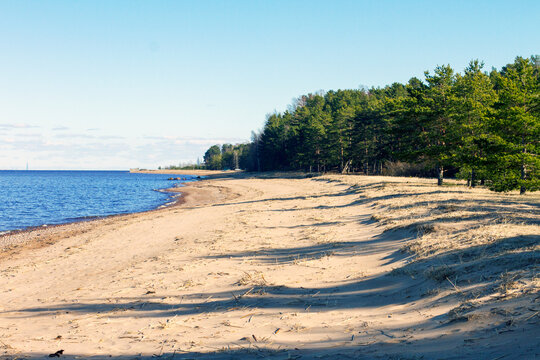beach and sea