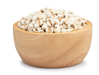 job tears isolated on white background