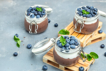 yogurt and blueberries. Healthy breakfast. Super food healthy eating vegetarian vegan food. banner, menu, recipe place for text, top view