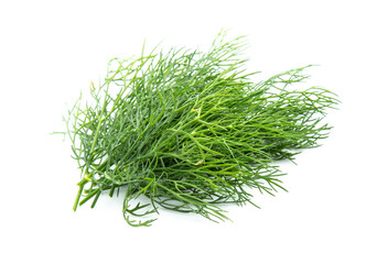 fresh dill green isolated on white background