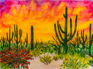 Saguaro National Park in Arizona, Sunset in Sonoran Desert. Watercolor Painting. © Arina