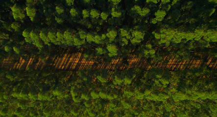 Coffee farm, scenery and everyday life in the countryside