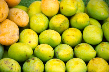 Mango close-up as a background. Tropical fruit mango bunch.