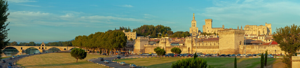 Fototapeta na wymiar Avignon mit Brücke Panorama