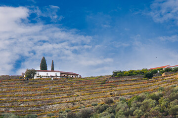 The douro valley in Portugal near the town of Pinhao