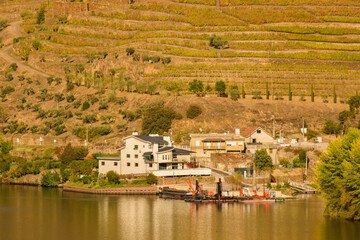 Fototapeta na wymiar The douro valley in Portugal near the town of Pinhao