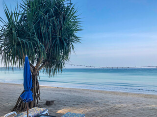 beach, palm trees and Andaman sea in Thailand on Phuket island