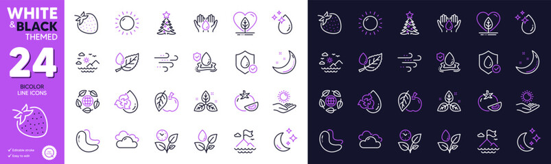 Cashew nut, Leaves and Plants watering line icons for website, printing. Collection of Cloudy weather, Moon, Flood insurance icons. Waterproof, Christmas tree, Tomato web elements. Apple. Vector