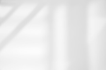 Natural Light and shadow from window overlay effect on  white background. Silhouette light abstract can use for wallpaper minimal,mock up design.Black and white blurred image backdrop.