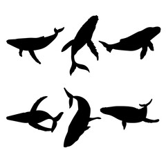 Set of silhouettes of whales vector design