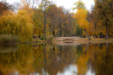 Fototapeta premium autumn trees reflected in water