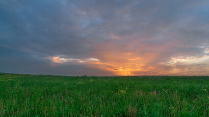 sunrise over rapeseed field