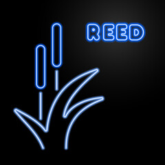 Fototapeta premium reed neon sign, modern glowing banner design, colorful modern design trends on black background. Vector illustration.