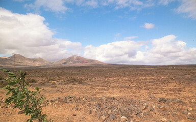 Desert on Lanzarote Island.