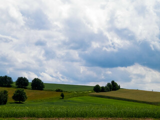 Hills and meadows of Kashubia Region, Poland. - obrazy, fototapety, plakaty