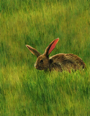 Obraz premium Ginger bunny in grass, cute rabbit hiding in green grass, seamless tile, adorable spring feeling, illustration, generative art