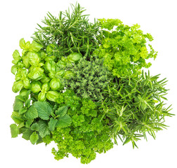 PNG Kitchen herbs isolated on transparent background. Fresh green plants