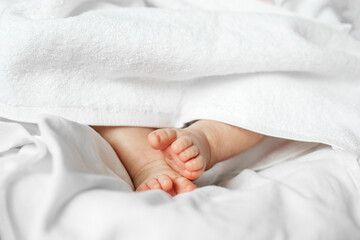 Feet of newborn under white blanket. Beautiful background. Newborn and family concept. Close up