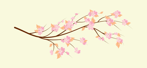 Vector illustration. Branch of Japanese cherry blossoms with beautiful flowers.Sakura. White background. èçîëèðîâàíûé ýëåìåíò