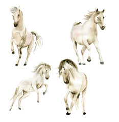 Watercolor hand drawn cute white horse on the white background. Running horse illustration. Watercolor painting of a galloping horse. Perfect for greetings card, poster, invitation and party decor. © Leila