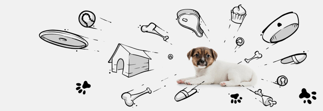 Little cute puppy dreaming about toys, bones, food, and new house. Collage with drawings, doodles. Animal, art, creativity concept. Banner