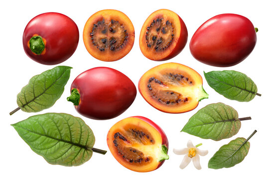 Tamarillo (Solanum betaceum) fruits, leaves, flower as elements isolated png