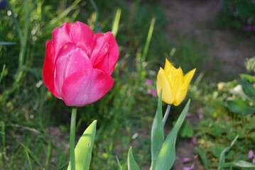 le printemps arrive bientot