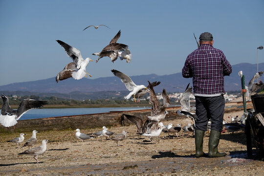 Fischer an der Algarve in Portugal