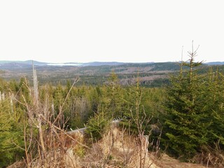 The Dreisesselberg is a mountain in Bavaria, Germany, in the Bavarian Forest that is 1,333 metres high Three of the Chair Berg is a 1,333 m high mountain in the Bavarian Forest in Bavaria (Germany).
