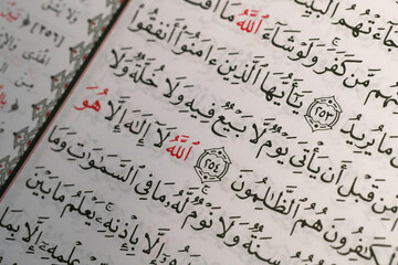 Faith and religion. Islam.