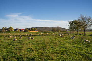 Sporkenheim in Rheinhessen mit Blick auf Gau-Algesheimer Kopf und Bismarckturm 