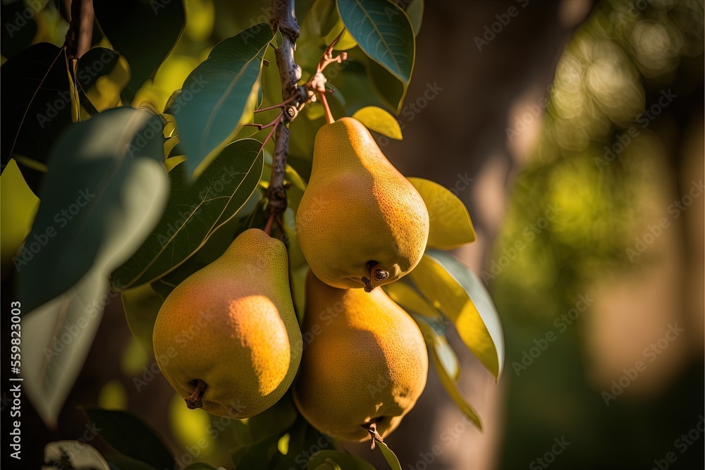 Poster a bunch of fruit hanging from a tree branch with leaves on it's branches and a blurred background of