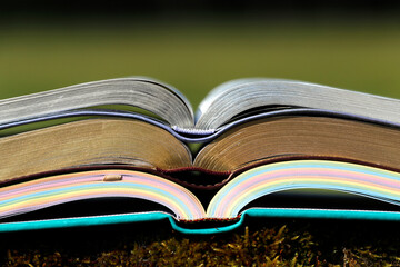 Faith and religion. Interreligious.