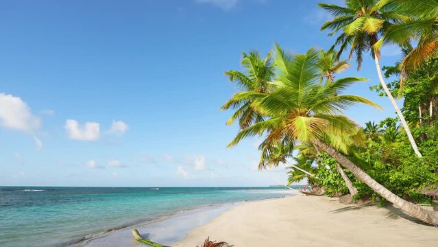 Summer vacation on a tropical beach with coconut trees. Turquoise sea on white sand on a sunny summer day. Festive tropical beach background. Landscape of beautiful nature.