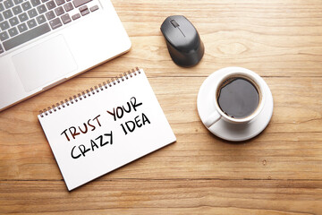 Trust Your Crazy Idea, motivational words and sentences for work and life. Quote sentence in...