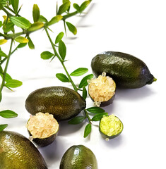 Edible fruits of Citrus australasica, the Australian finger lime or caviar lime. Whole limes on...