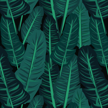 Seamless pattern with banana plant leaves. Decorative image of tropical leaves and plants