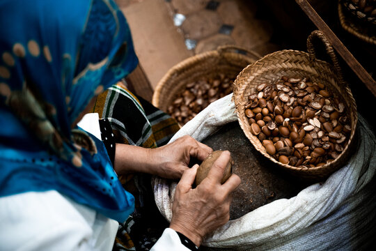 Preparaci&oacute;n del arg&aacute;n para extraer el aceite .