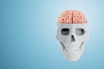 Image of a human skull and brain on no light background. 3D render, 3D illustration.
