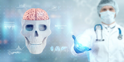 Image of a human skull and brain on no light background.