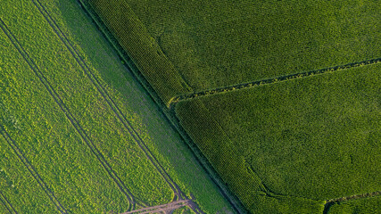 Colorful patterns in crop fields at farmland, aerial view, drone photo. Abstract geometric shapes...
