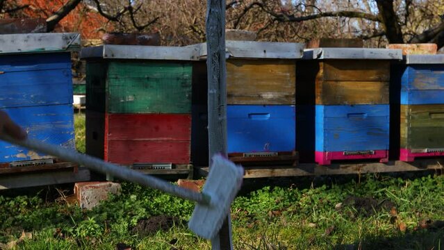 Farmer use brush, whitewashing fruit trunk as method of heat protection of Sun, slows down vegetation, blooming at early spring. Painting lime against diseases, fungus, or damage bark by rodents.