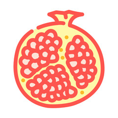 cut pomegranate color icon vector. cut pomegranate sign. isolated symbol illustration