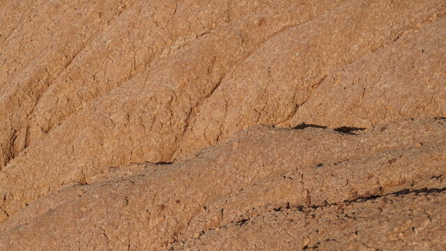 View of soil erosion. Rain water streams made bizarre shapes of clay earth.