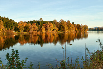 Herbstlich gefärbter Wald am Bucher Stausee, Rainau Buch, Baden-Württemberg, Deutschland