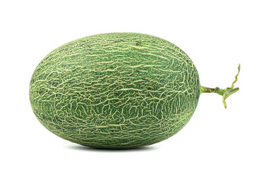 Green ripe melon on white background