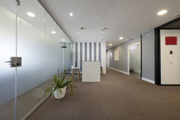 Entrance hall of an office with indoor plants, offices with a glass partition and a high table with...