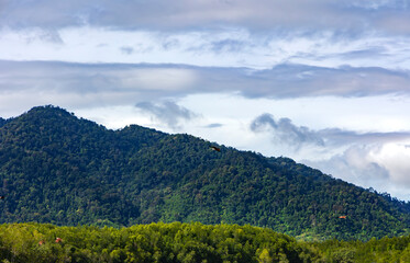 A bald eagles or Haliaeetus leucocephalus hunts for fish and soars through a blue sky in the Kilim Geoforest national park, Malaysia	